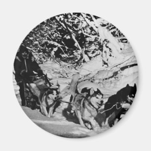 Vintage Alaska Eskimo Malamute-Schlittenrennen Magnet