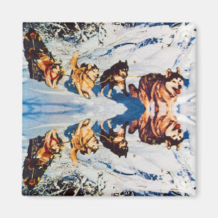 Vintage Alaska Eskimo Malamute Schlittenrennen Magnet