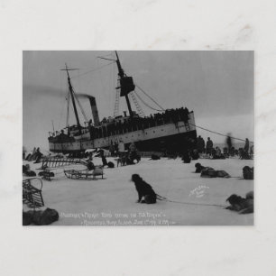 Vintage Alaska Postkarte