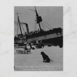 Vintage Alaska Postkarte