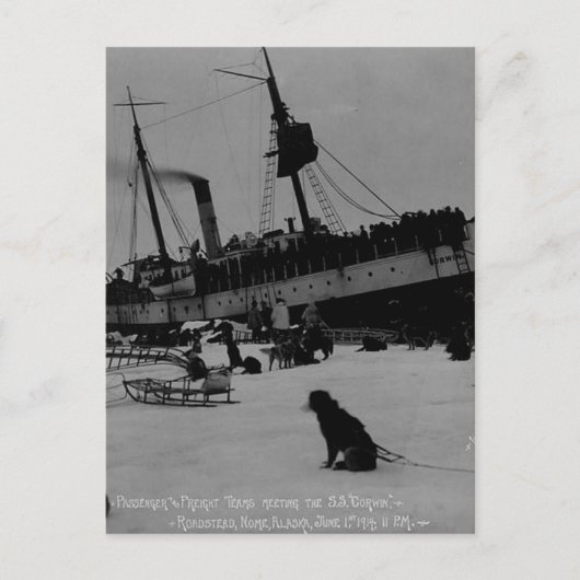 Vintage Alaska Postkarte (Vorderseite)