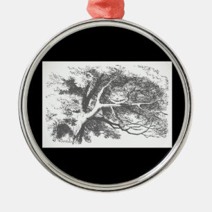 Vintage-Alice-im-Wunderland-Schatzkistchen-Katze-O Silbernes Ornament