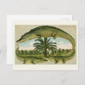 Vintage Alligator-Postkarte Postkarte (Vorne/Hinten)