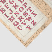 Vintage Alphabet Typografie Mathematische Collage Seidenpapier (Ausschnitt)