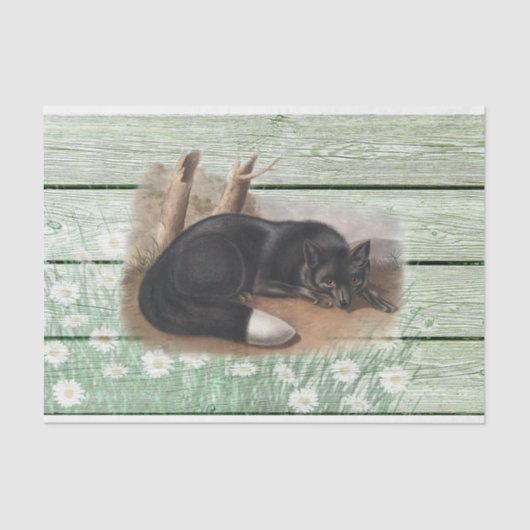 Vintage, alte, grüne Holzstruktur American Fox Seidenpapier (Vorderseite)