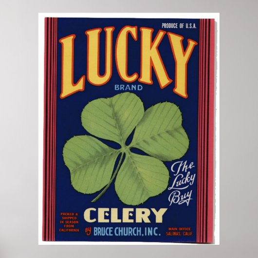 Vintage alte Sellerie Gemüse Kratzeretiketten Poster (Vorne)