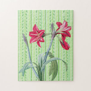 Vintage-Amaryllis-Blumen Retro-Kunst Puzzle