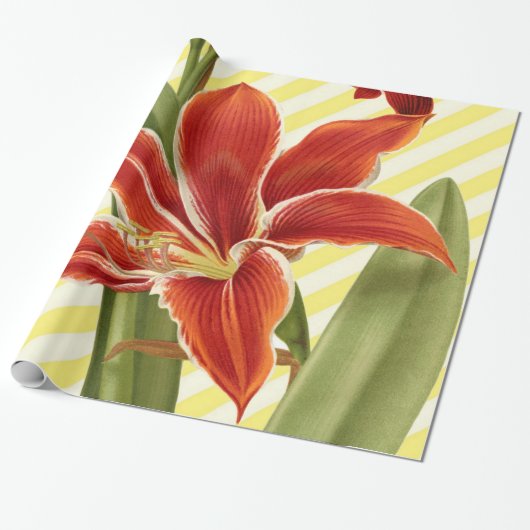 Vintage Amaryllis Geschenkpapier (Ungerollt)