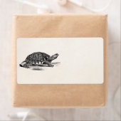 Vintage American Box Tortoise - Schildkrötenvorlag (Insitu)