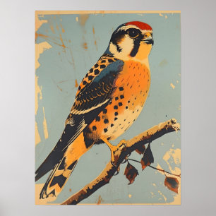 Vintage American Kestrel Illustration Poster