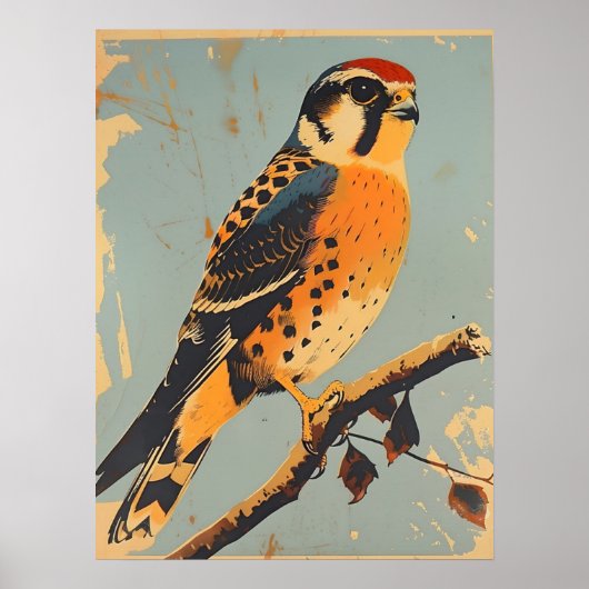 Vintage American Kestrel Illustration Poster (Vorne)