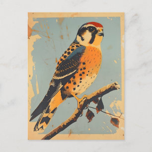 Vintage American Kestrel Illustration Postkarte