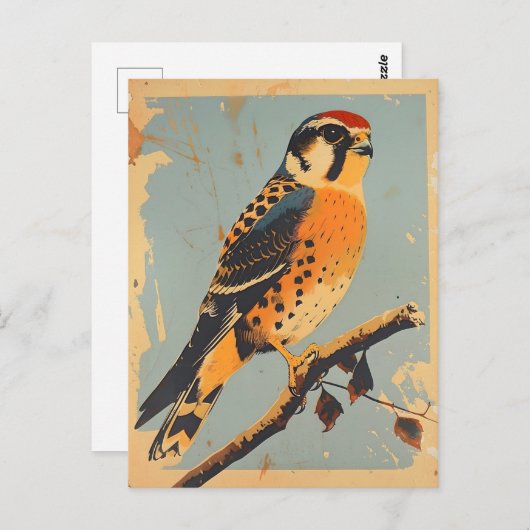 Vintage American Kestrel Illustration Postkarte (Vorne/Hinten)