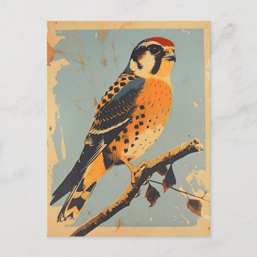 Vintage American Kestrel Illustration Postkarte (Vorderseite)