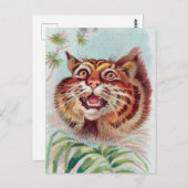 Vintage American Wild Cat Postcard Postkarte (Vorne/Hinten)