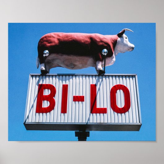 Vintage amerikanische Landschaft Poster (Vorne)