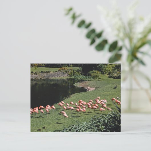 Vintage amerikanische Landschaft Postkarte (Stehend Vorderseite)