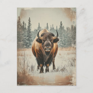 Vintage Amerikanischer Büffel Bison im Winter Postkarte