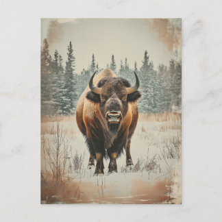 Vintage Amerikanischer Büffel Bison im Winter Postkarte