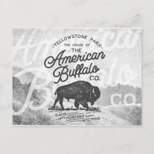 Vintage Amerikanischer Büffel Montana Reise Postkarte