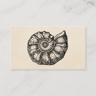 Vintage Ammonit Meeresmuschel Fossil Muschel Vorla Visitenkarte