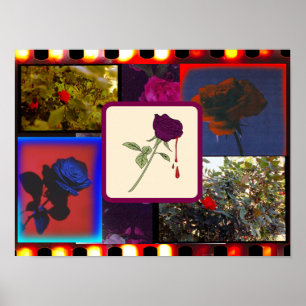 Vintage-Analogfilm-Rosen-Collage Poster