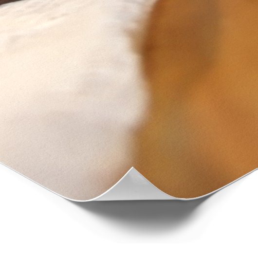 Vintage Analogkamera in Lederbraun Poster (Ecke)