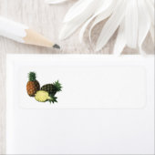 Vintage Ananas, Bio Obst (Insitu)