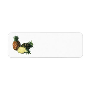 Vintage Ananas, Bio Obst