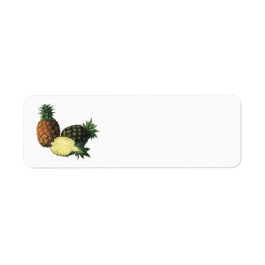 Vintage Ananas, Bio Obst (Vorne)