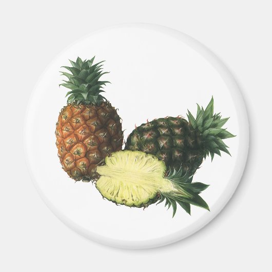 Vintage Ananas, Bio Obst Magnet (Vorne)