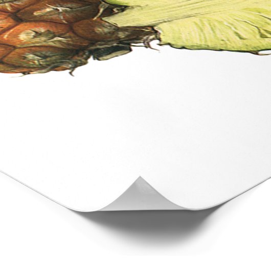 Vintage Ananas, Bio Obst Poster (Ecke)