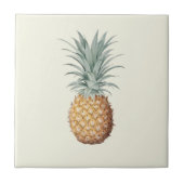 Vintage Ananas-Creme Fliese (Vorderseite)