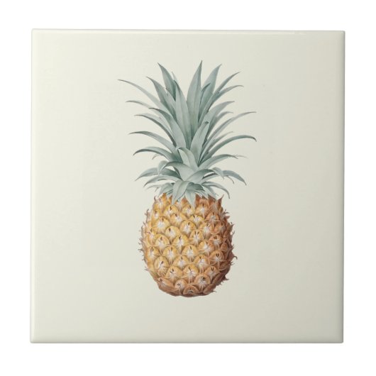 Vintage Ananas-Creme Fliese (Vorderseite)