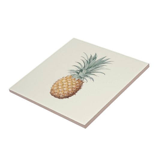 Vintage Ananas-Creme Fliese (Seite)