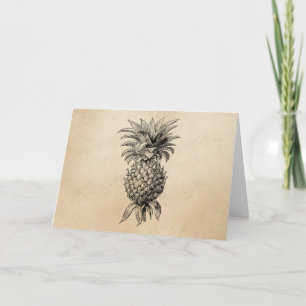 Vintage Ananas-Illustration Ananas aus dem 18. Jah Karte