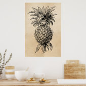 Vintage Ananas-Illustration Ananas aus dem 18. Jah Poster (Küche)