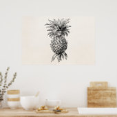 Vintage Ananas-Illustration Ananas aus dem 18. Jah Poster (Küche)