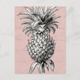 Vintage-Ananas-Illustration aus dem 19. Jahrhunder Postkarte