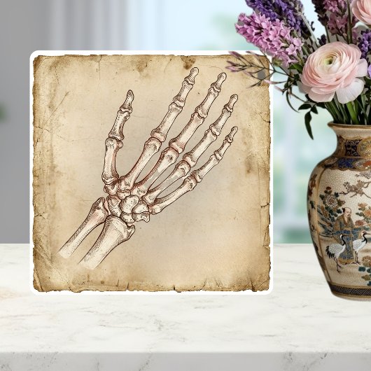 Vintage Anatomical Hand Bones Ink Drawing Sepia Fliese