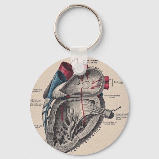 Vintage Anatomical Heart Schlüsselanhänger (Vorderseite)