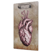 Vintage anatomical illustration of the human heart klemmbrett (Links)