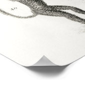 Vintage Anatomical Illustration Poster (Ecke)