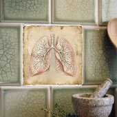 Vintage Anatomical Lungs Illustration Sketch Fliese
