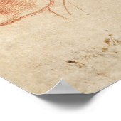 Vintage Anatomical Sketch Poster (Ecke)