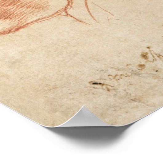 Vintage Anatomical Sketch Poster (Ecke)