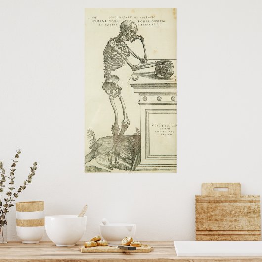 Vintage Anatomie Andreas Vesalius Skeleton Poster (Küche)