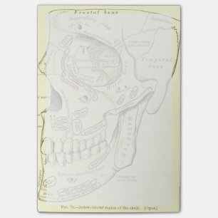 Vintage Anatomie Anterolateral Region des Schädel Post-it Klebezettel