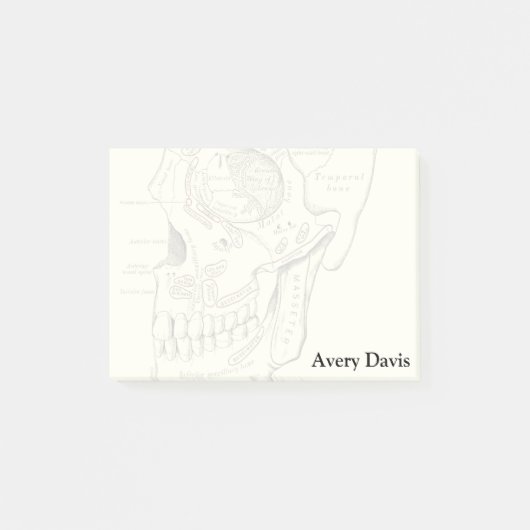 Vintage Anatomie Anterolateral Region des Schädels Post-it Klebezettel (Vorderseite)