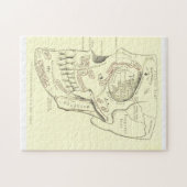Vintage Anatomie Anterolateral Region des Schädels Puzzle (Horizontal)
